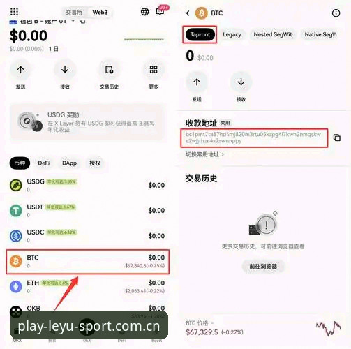 乐鱼体育下载常见问题全面解析：从安装到使用的完整指南