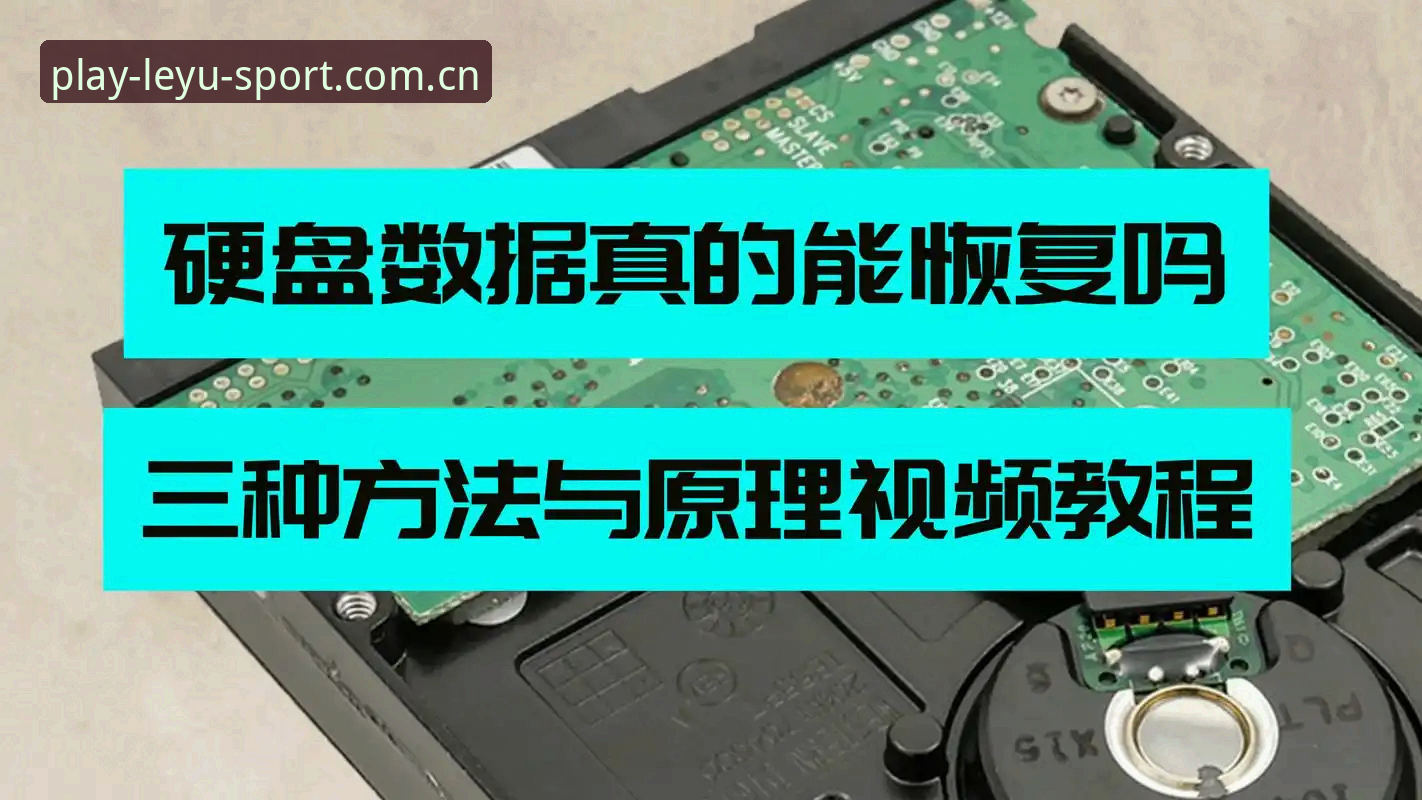 乐鱼体育官网使用指南：从注册到数据查询的完整教程